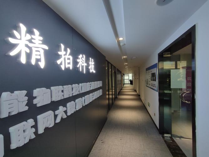 重庆精拍科技 以信息技术咨询服务驱动企业数字化转型